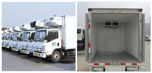 Whole cold chain transportation logistics distribution